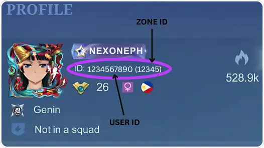 Instruction MLBB: Verified Squad Slot Rental