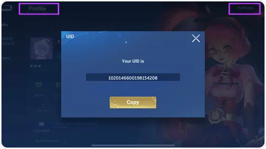 Instruction Honor of Kings